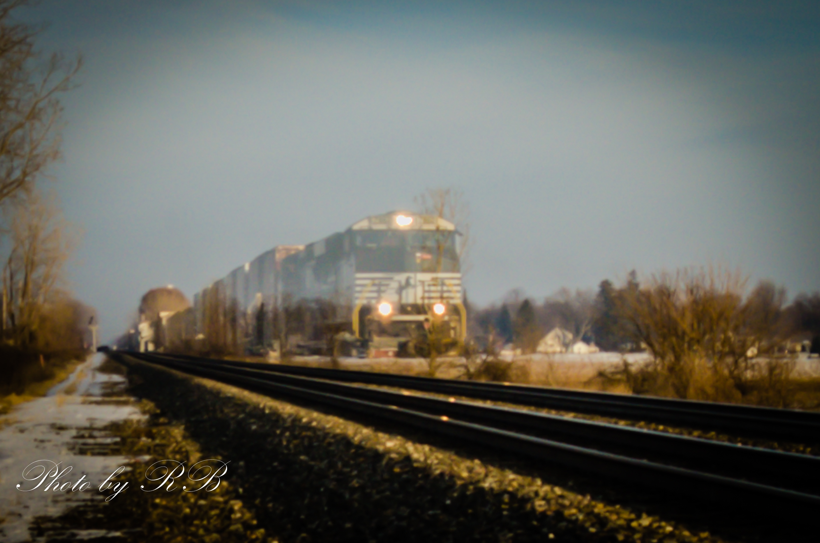 20130108-_1RB2280.jpg