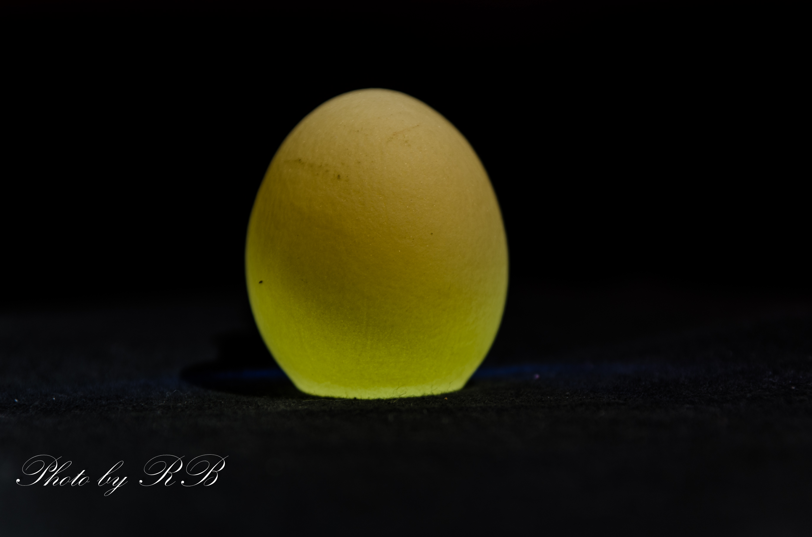 20130116-_1RB2579.jpg