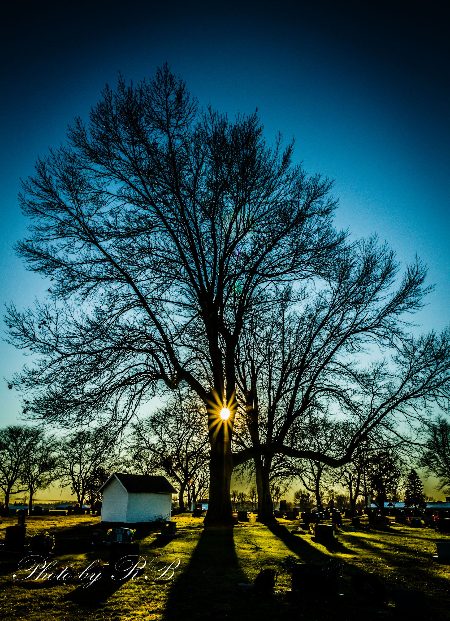 20130117-_1RB2598.jpg