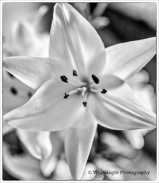 20130119-DSC_6241-2_WLP-3.jpg