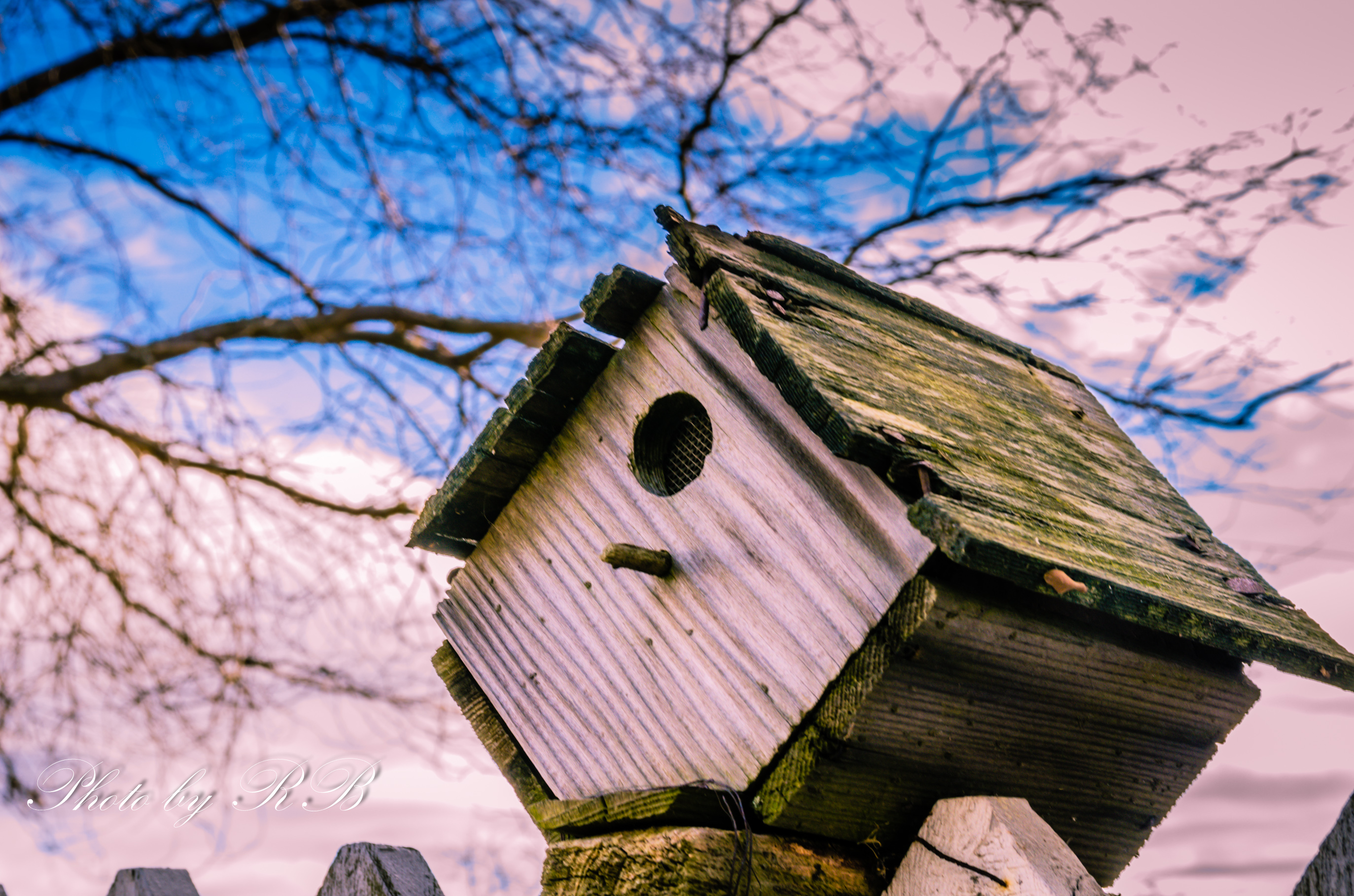 20130120-_1RB2631.jpg