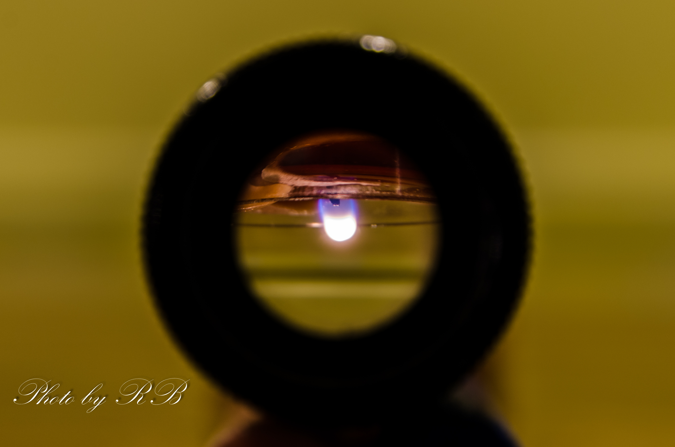 20130123-_1RB2656.jpg