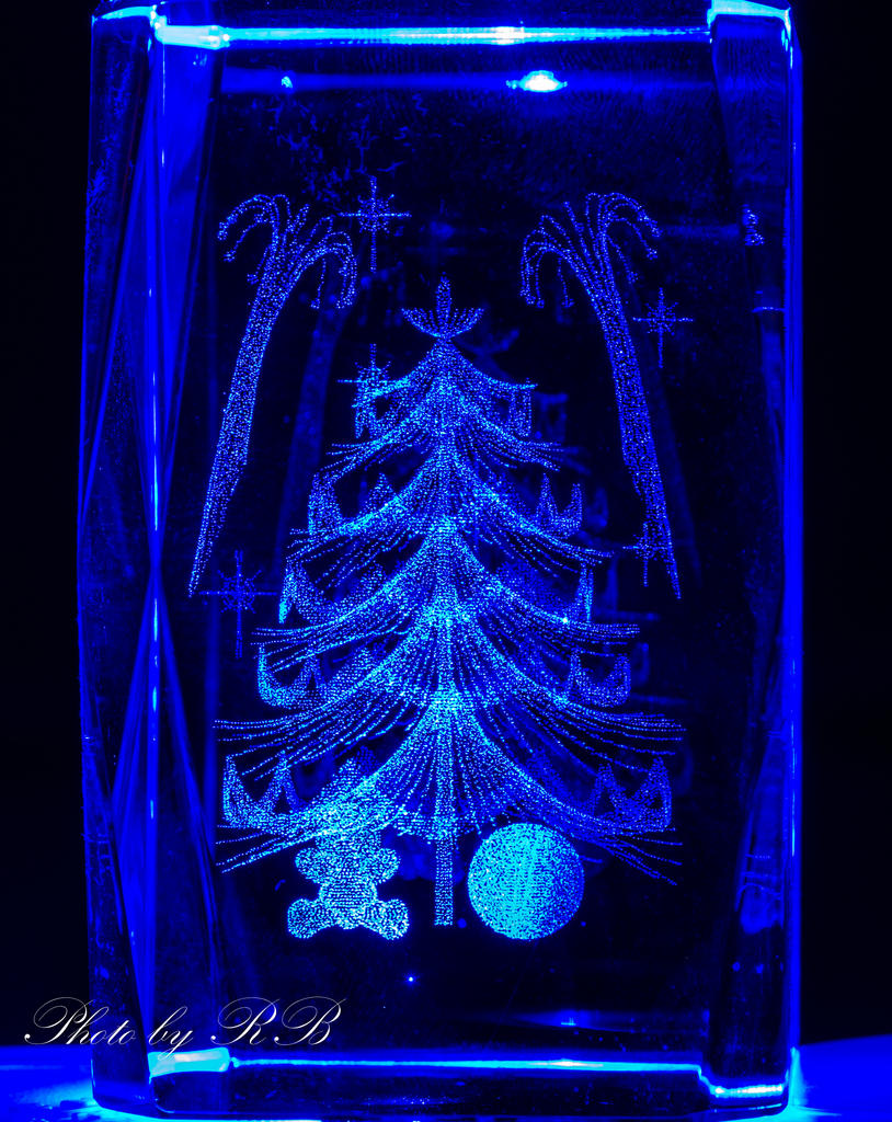 20130124-_1RB2659.jpg