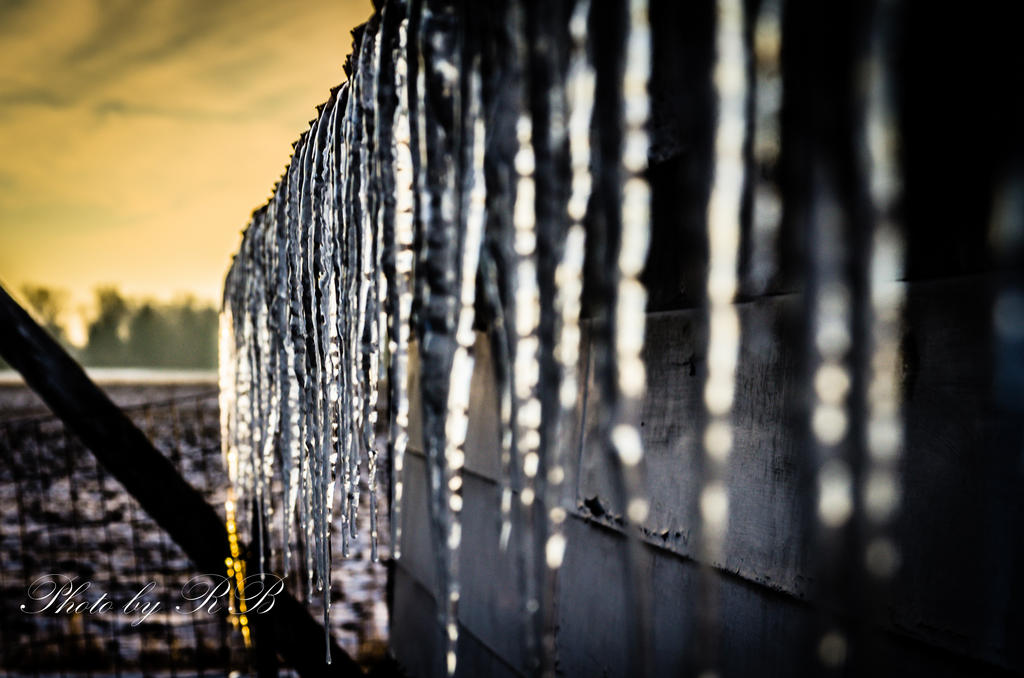 20130127-_1RB2731.jpg