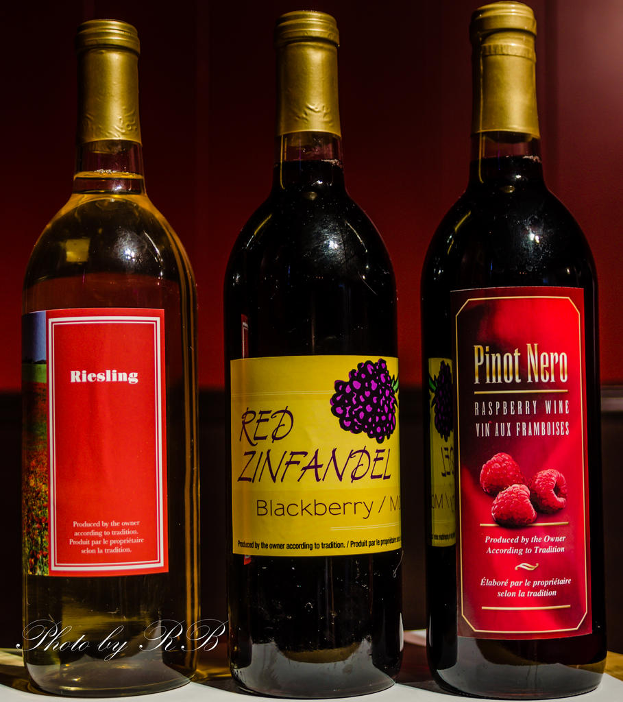20130209-_1RB2878.jpg