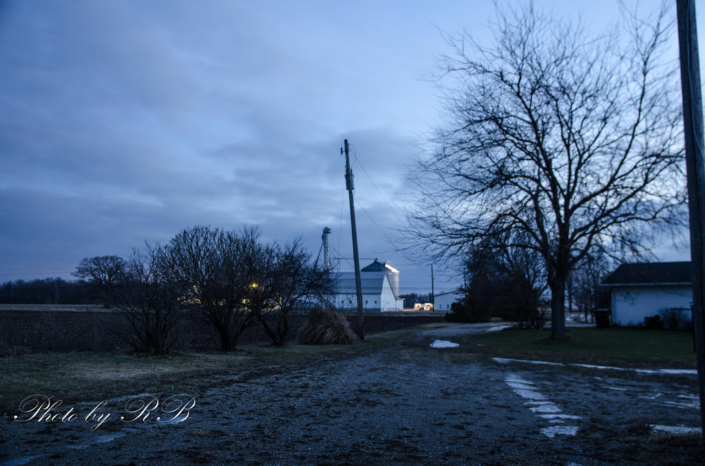 20130212-_1RB2885.jpg
