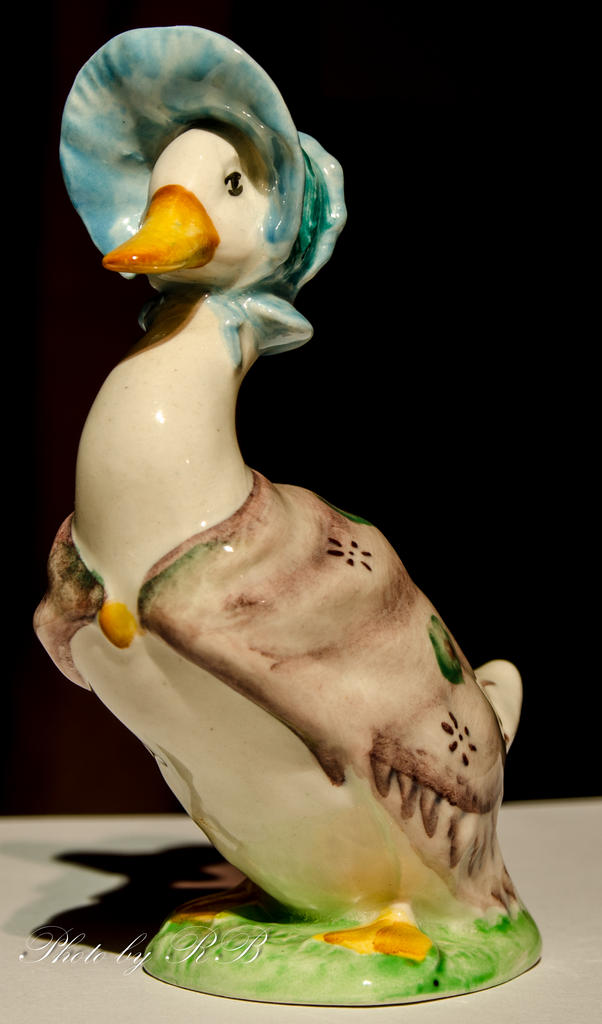 20130213-_1RB2889.jpg
