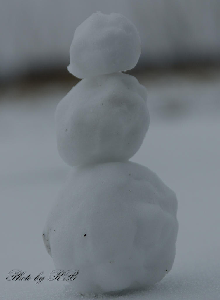 20130222-_1RB3026-2.jpg