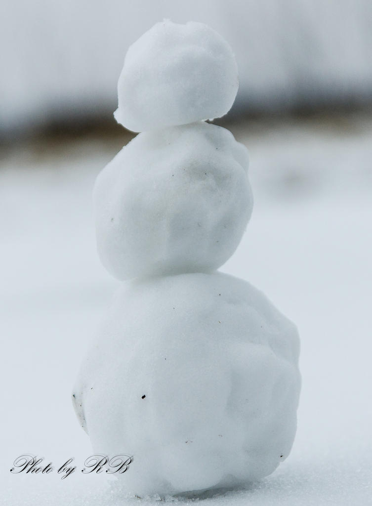 20130222-_1RB3026-3.jpg