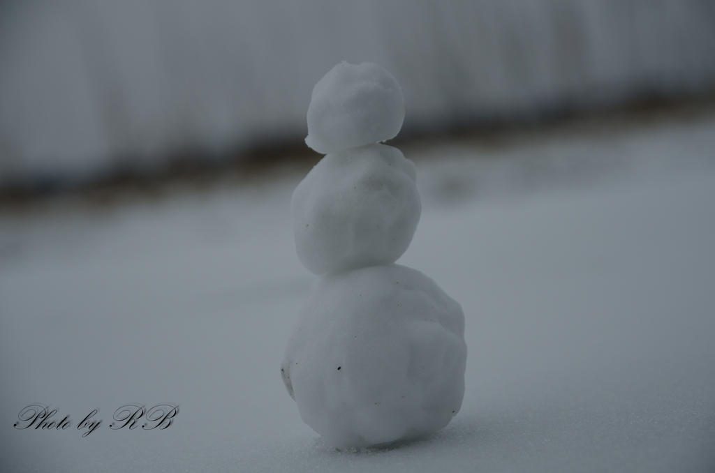 20130222-_1RB3026-4.jpg