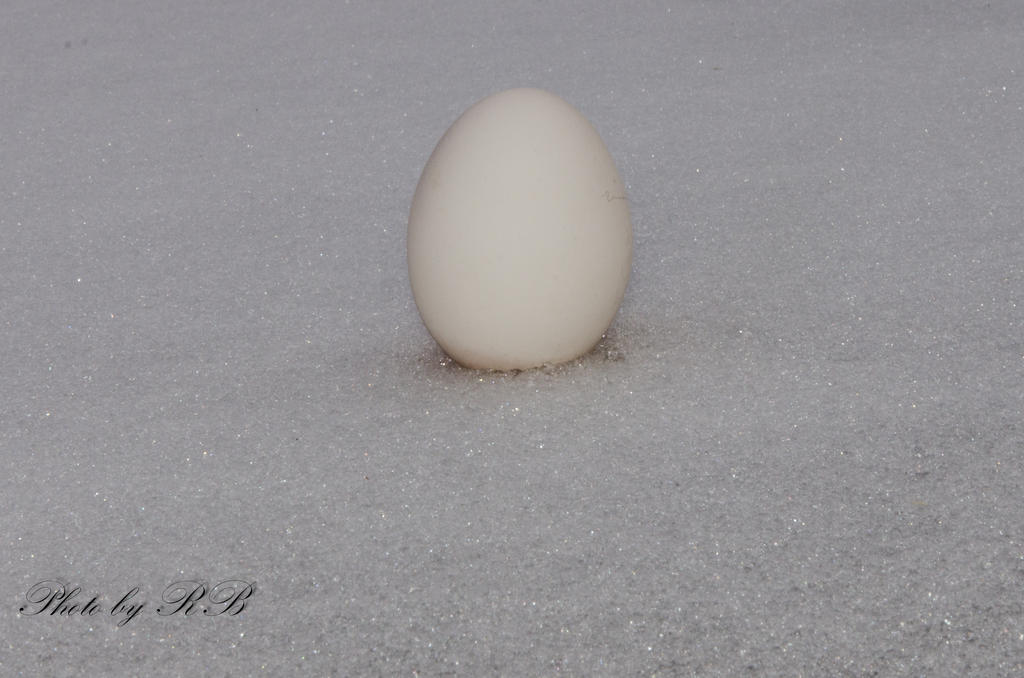 20130223-_1RB3030.jpg