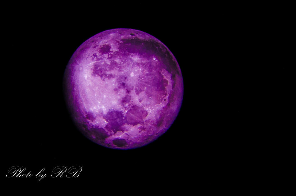 20130225-_1RB3088-2.jpg