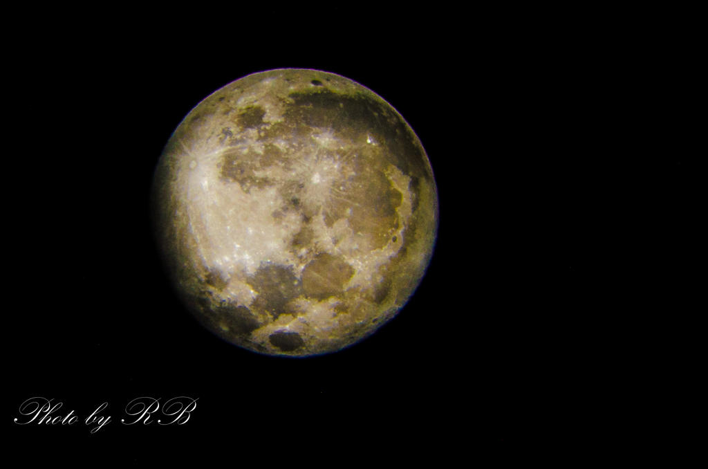 20130225-_1RB3088.jpg