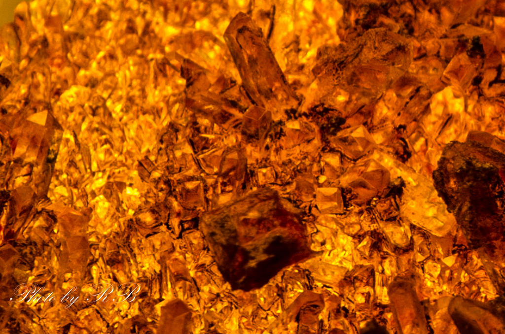20130304-_1RB3162.jpg
