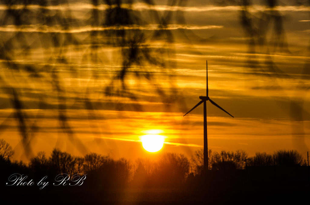 20130309-_1RB3212.jpg
