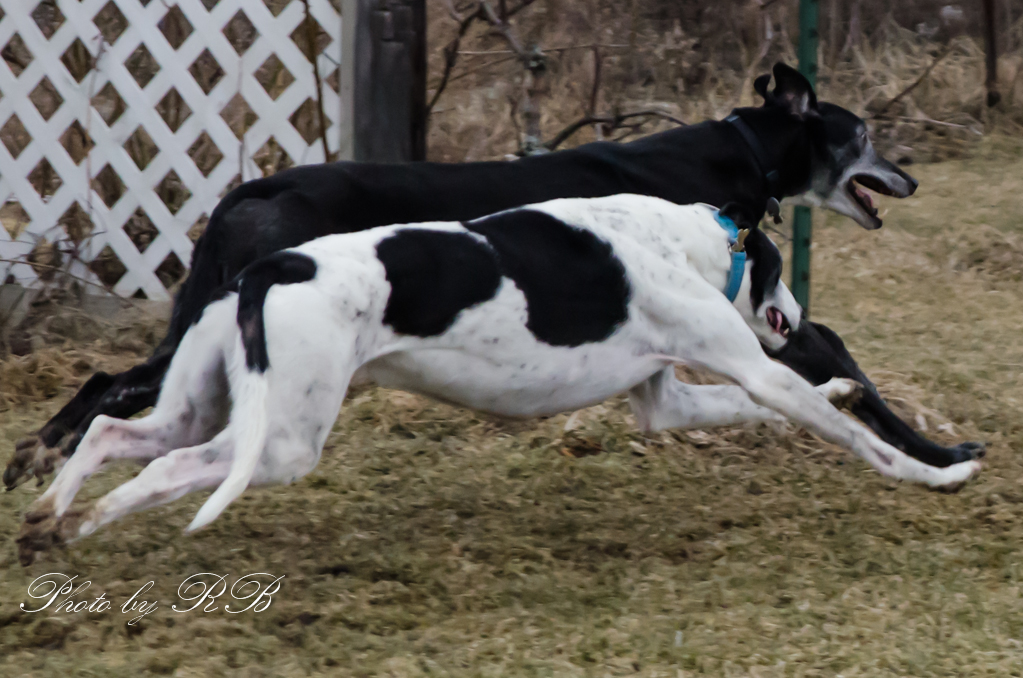 20130310-_1RB3233.jpg