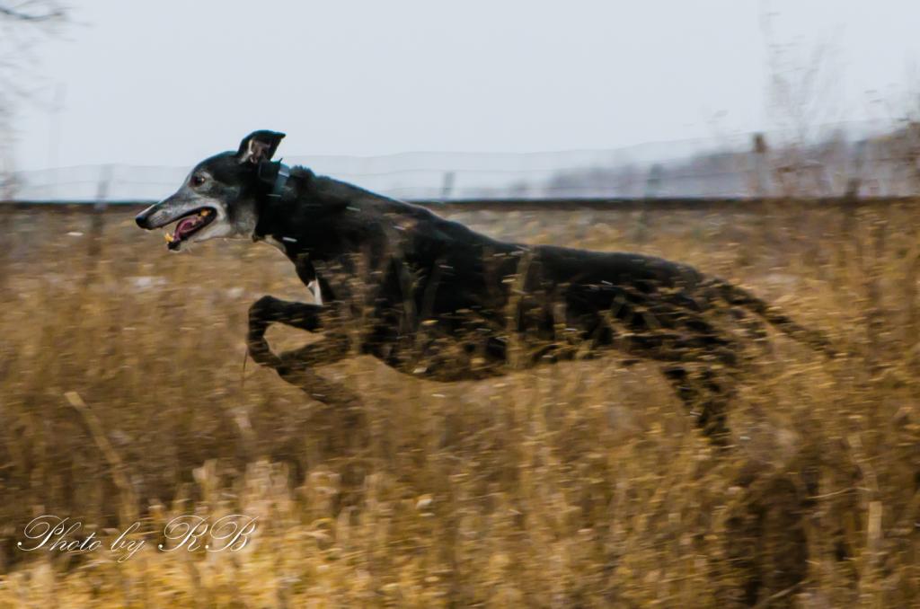 20130325-_1RB3424.jpg