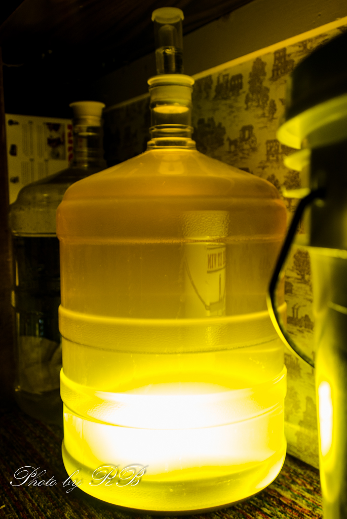 20130405-_1RB3625.jpg