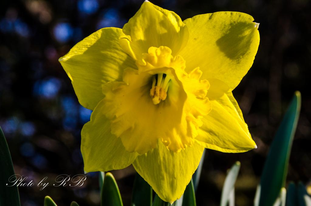 20130421-_1RB4399.jpg
