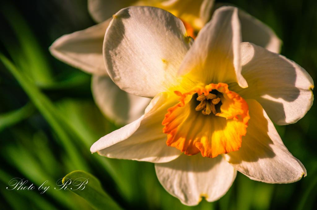 20130501-_1RB4547.jpg