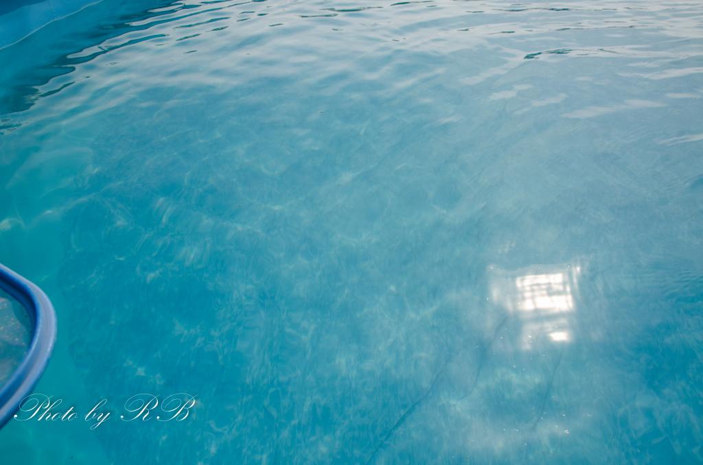 20130509-_1RB4623.jpg