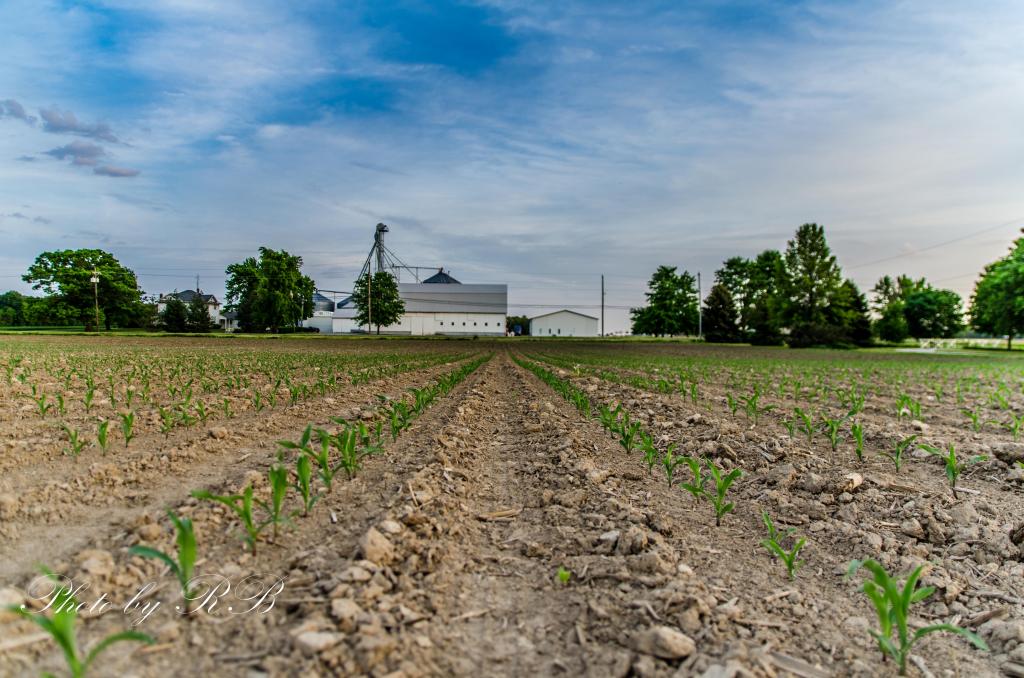 20130521-_1RB4801.jpg