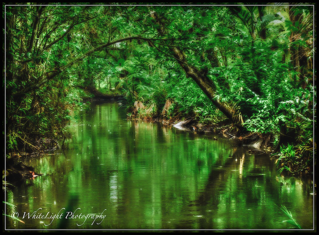 20130524-DSC_7384_tonemapped-2_WLP.jpg