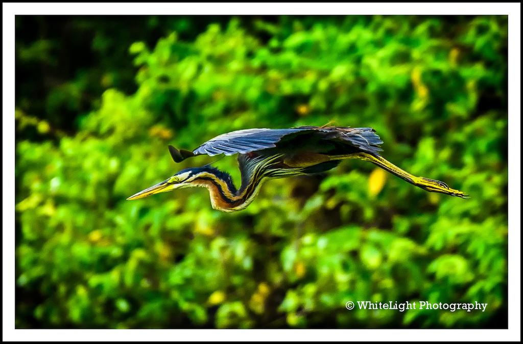 20130524-DSC_7454_HDR-2-2_WLP.jpg