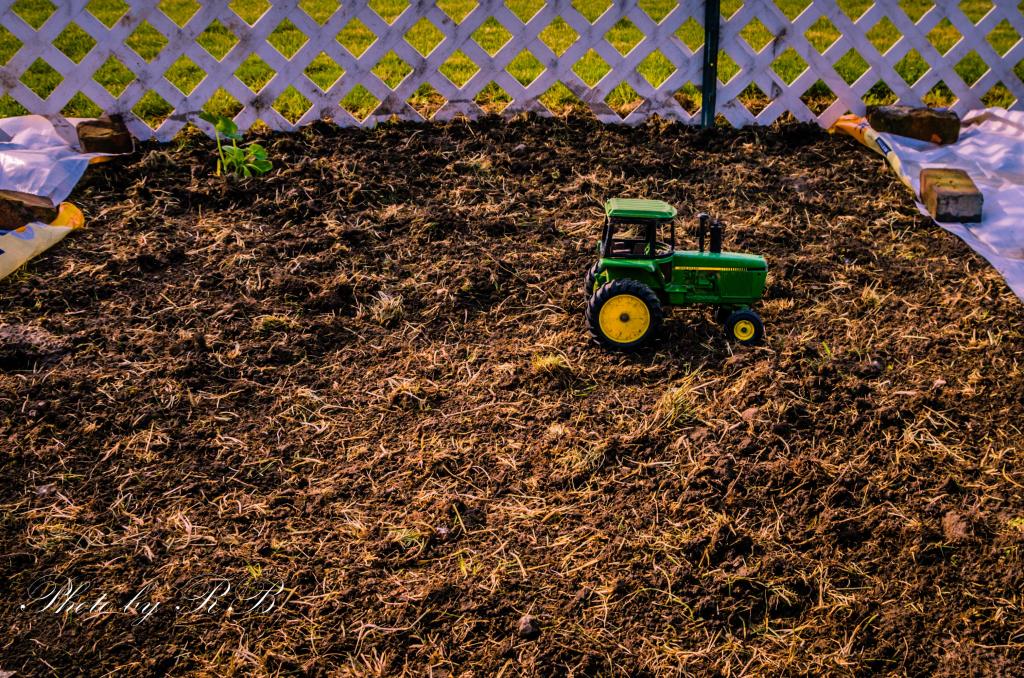 20130604-_1RB5318.jpg