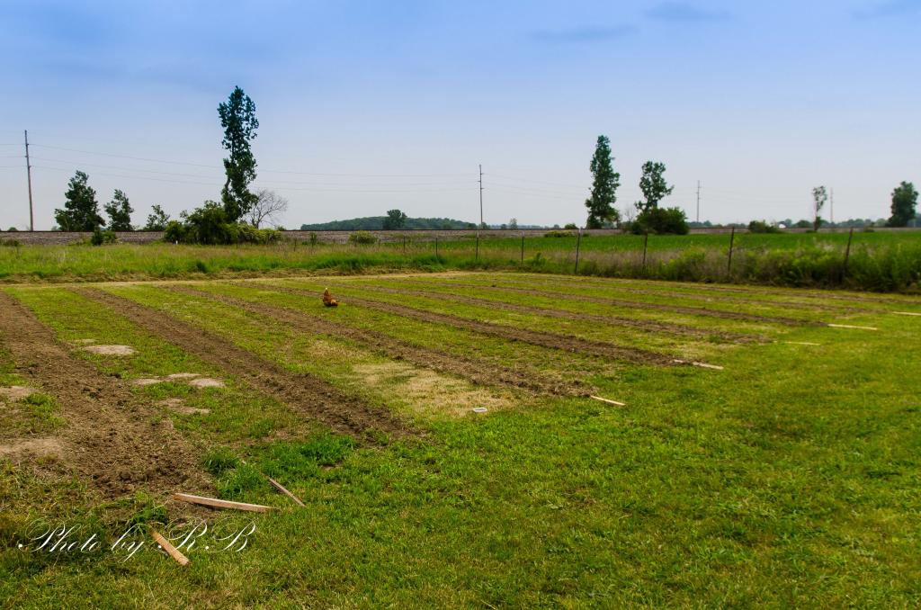 20130609-_1RB5469.jpg