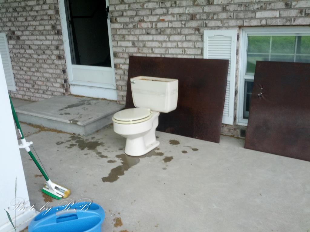 20130610-IMG_20130610_141839.jpg