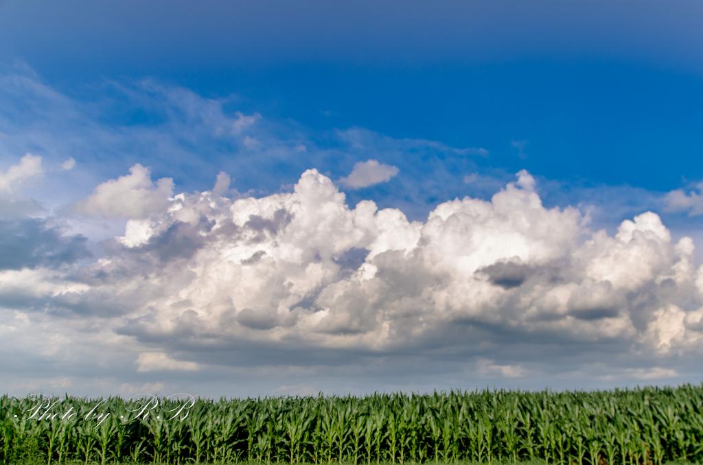 20130627-_1RB7964.jpg