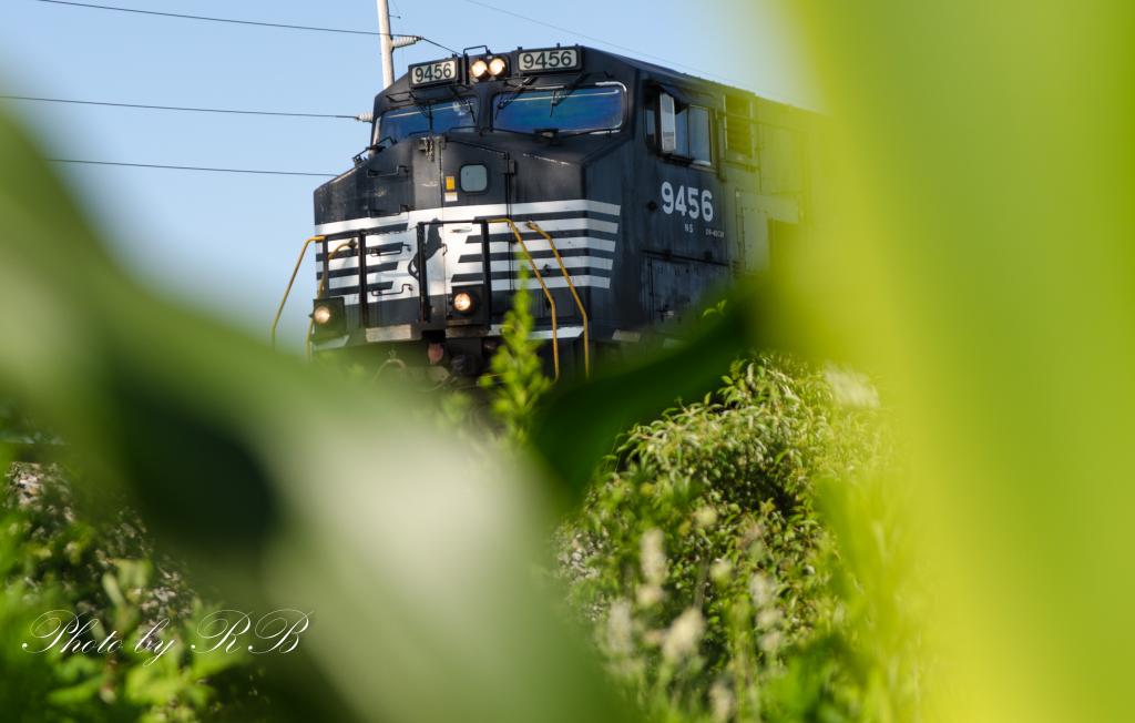 20130712-_1RB8416.jpg