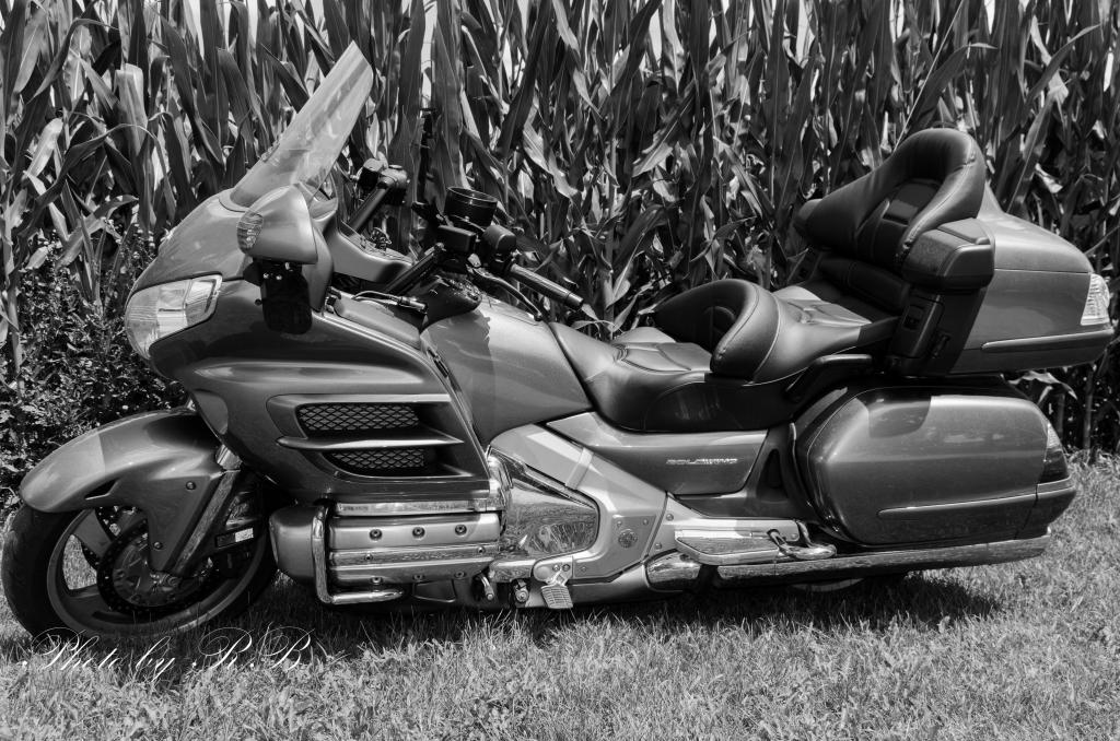 20130713-_1RB8434.jpg