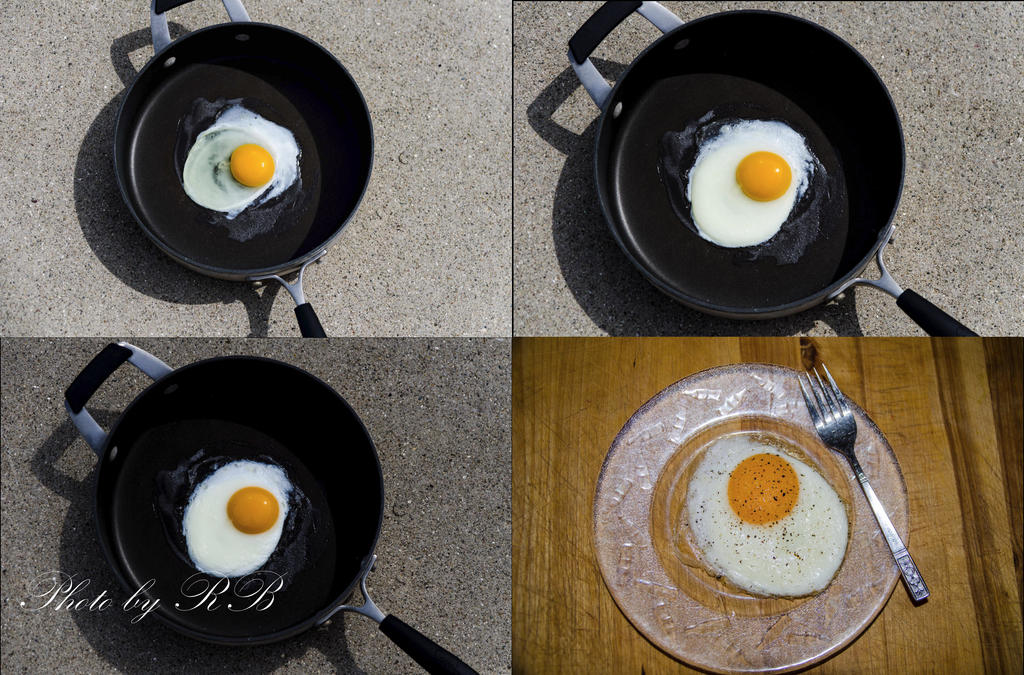 20130716-egg5.jpg