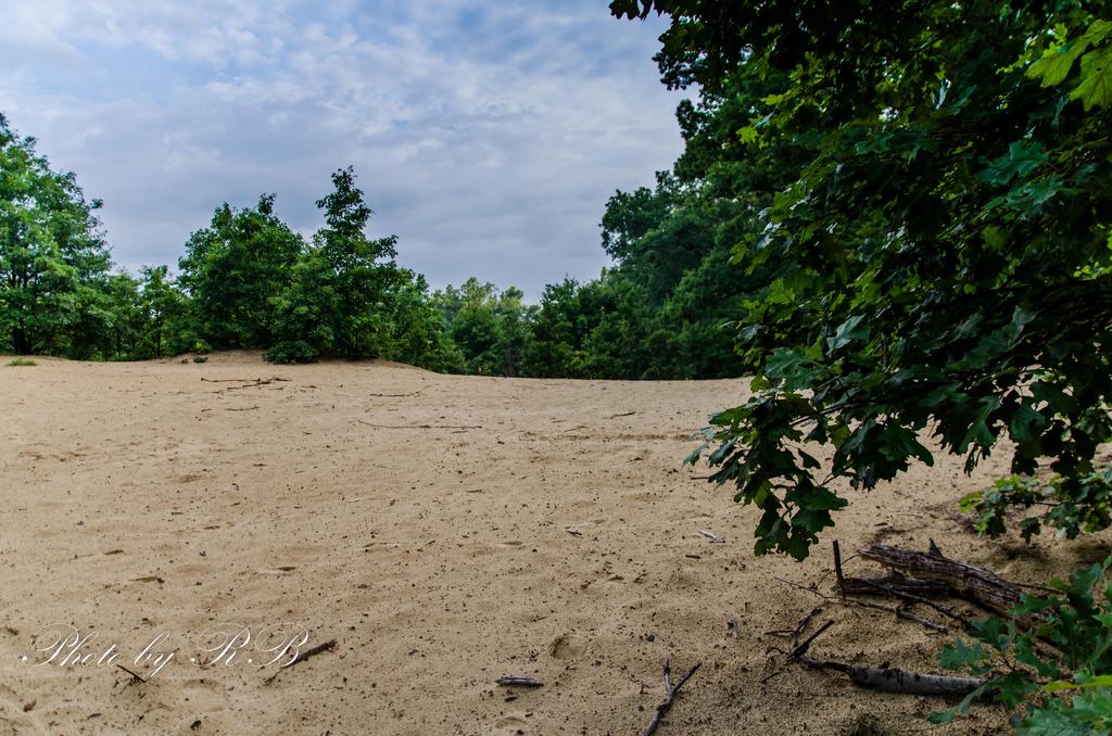 20130721-_1RB8600.jpg