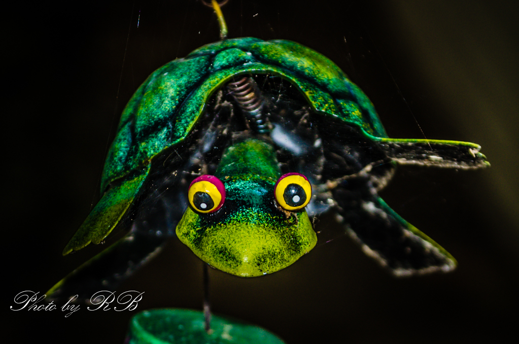 20130808-_1RB8873.jpg