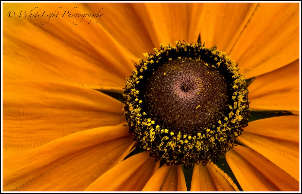 20130808-DSC_8744_WLP-2.jpg