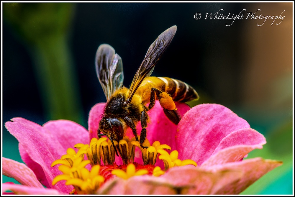 20130808-DSC_8843-2_WLP.jpg