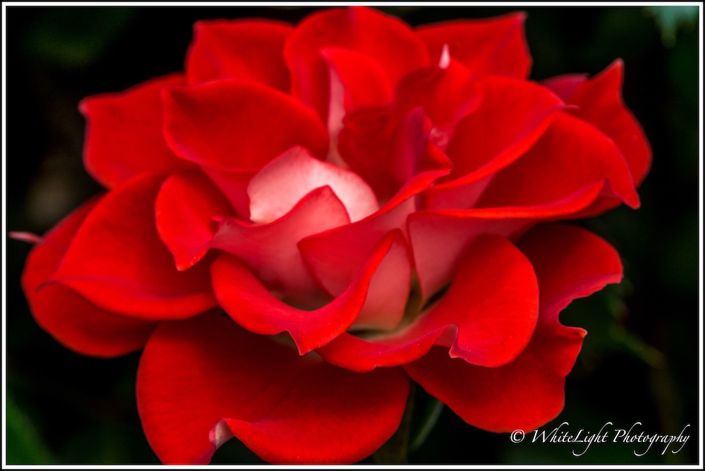 20130808-DSC_8881_WLP-2.jpg