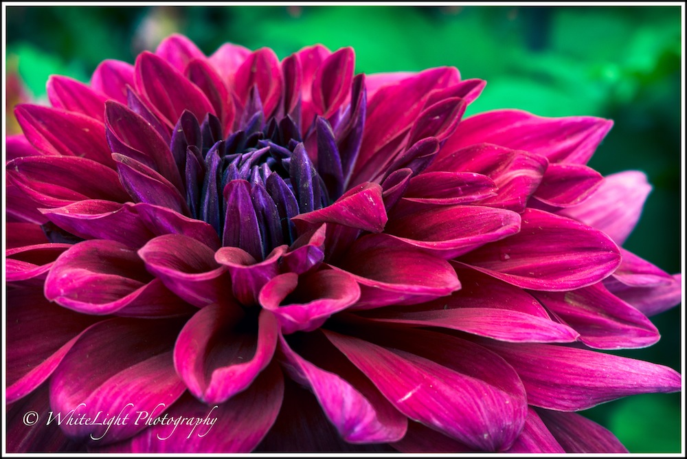 20130808-DSC_8917_WLP.jpg