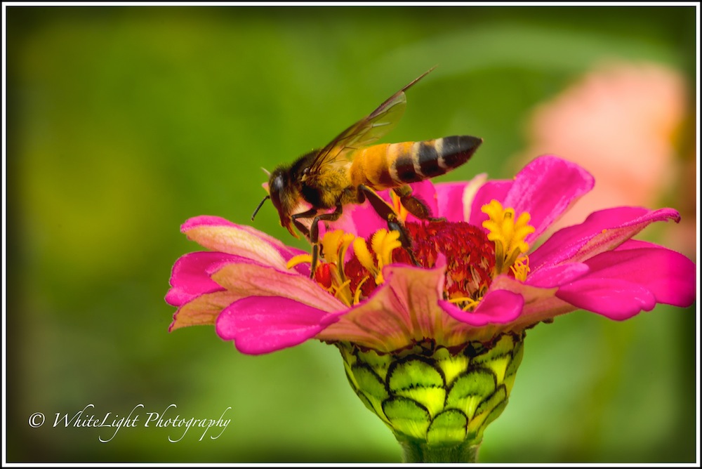 20130808-DSC_8986_WLP.jpg