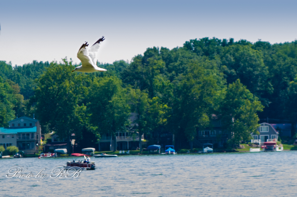 20130810-_1RB8963.jpg