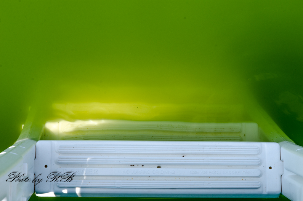 20130819-_1RB9586.jpg