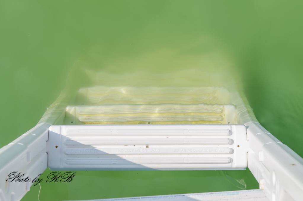 20130820-_1RB9591.jpg
