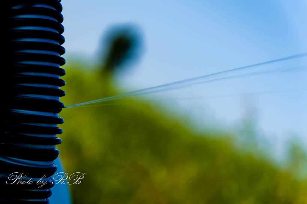 20130821-_1RB9601.jpg