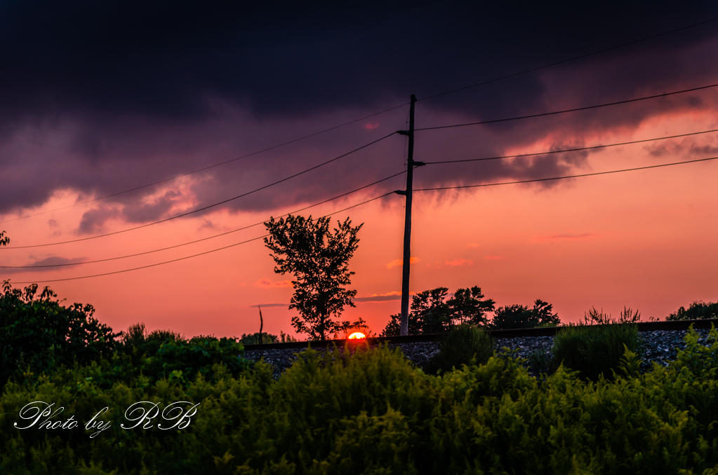 20130825-_1RB9606.jpg