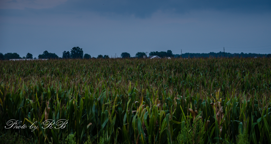 20130826-_1RB9608.jpg