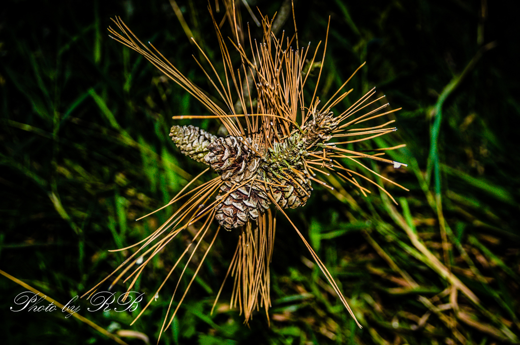 20130827-_1RB9609.jpg