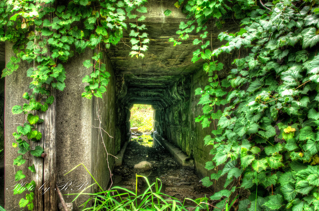 20130901-_1RB9631_2_3-4.jpg